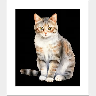 American Wirehair Posters and Art